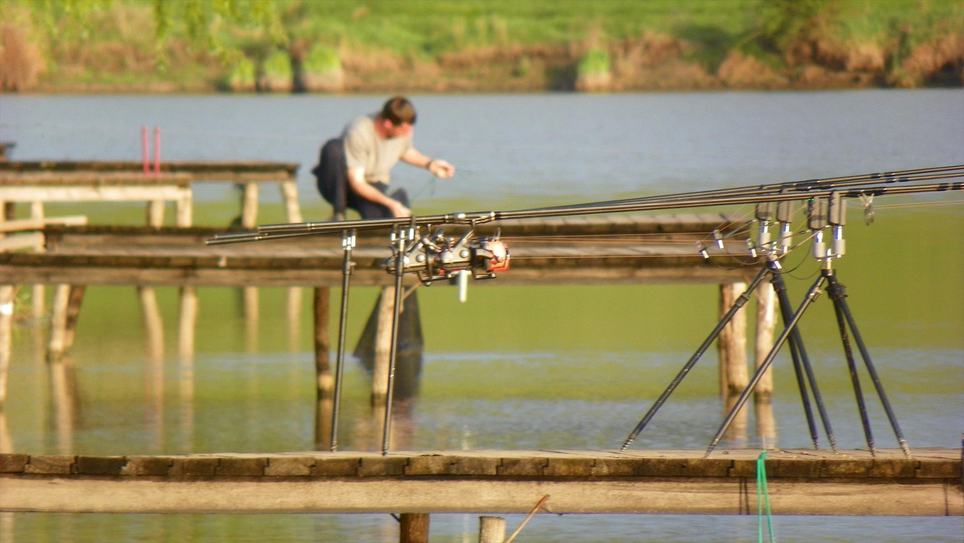 Party Cup 2011 (2)  - 1000175.JPG